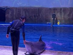 -华夏文旅海洋公园