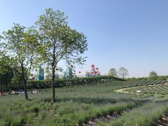 -季高兔窝窝亲子园(上海薰衣草公园店)