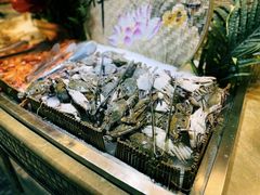 -吉布鲁牛排海鲜自助(339店)