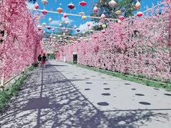 -北京凤凰岭