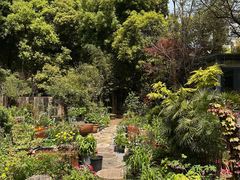 -谷咖啡·鲜花绿植花园餐厅