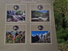 -王顺山国家森林公园