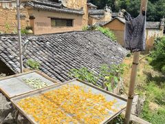 -杨家堂村