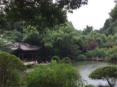 -汇龙潭