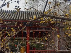 -月坛公园