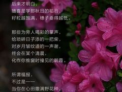 -曼朗心理咨询·旗舰店