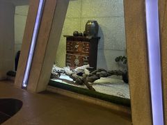 -纽斯桑拿会所(天山店)