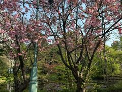 -北海道厅旧本厅舍(旧本庁舎)