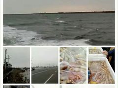 -红星码头