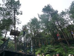 -梦幻奥陶纪景区