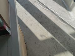 -宠颐生动物医院·心脏科·保险定点(锦阳分院)