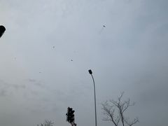-皇粮浜公园