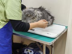 -芭比堂宠物医院·全科爱猫医院·仁德分院