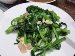 -老广酒楼(樱花店)