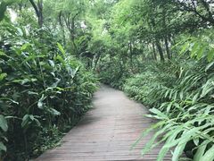 -广西壮族自治区药用植物园