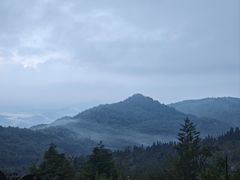 -长虫山生态公园风景林