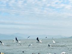 -深圳湾公园(南山区)
