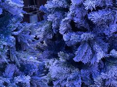 -世界之窗阿尔卑斯冰雪世界