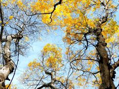 -国家植物园南园