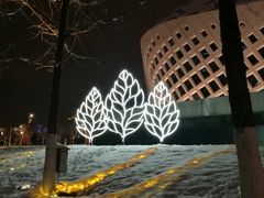 -南京眼步行桥