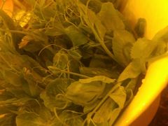 -老码头火锅(骡马市店)