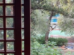 -成都市实验小学(人民中路校区)