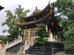 -上海东林寺(金山区)
