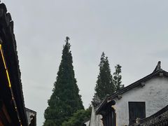 -水月周庄铂尔曼酒店 · 漾全日餐厅