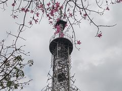 -风云岭森林公园