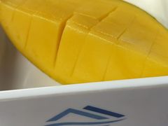 -山水温泉
