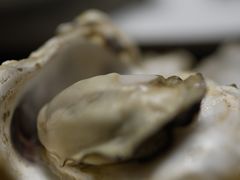 -木柴豆腐·活海鲜·鲁菜