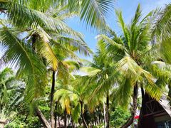 -海南分界洲岛旅游区