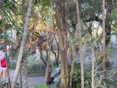 -Chom Cafe and Restaurant