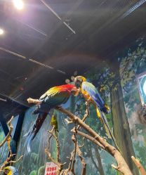 -Zoolung Zoolung动物主题公园(海信广场店)