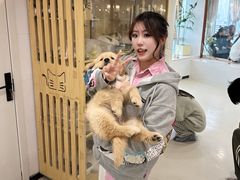 -共舞时光猫咖·狗咖(新街口店)