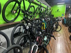 -道路口单车爱瓦士dahon大行