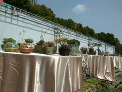 -荆川公园
