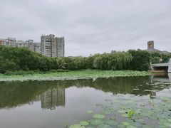 -新江湾城公园