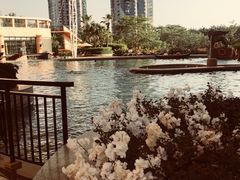 -深圳威尼斯英迪格酒店-邻芙花廊下午茶·NINFA GALLERY·蛋糕·咖啡