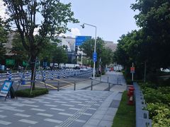 -招商蛇口邮轮母港(观光客运)