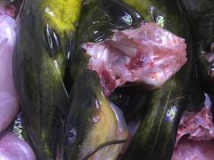 -金海椒罐罐鲢鱼(东方桂苑店)