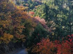 -阳台山自然风景区