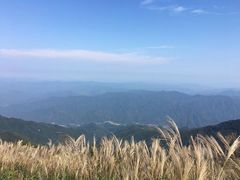 -大围山国家森林公园