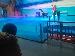 -乌鲁木齐海洋馆