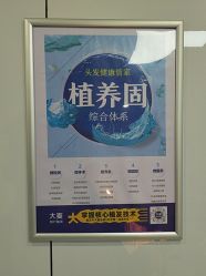 -大麦微针植发丨全国连锁
