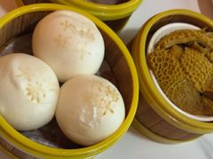 -东方早茶 海鲜•青岛菜(国信体育中心店)