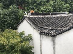 -苏州文旅花间堂·探花府酒店