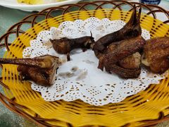 -渔鸽皇酒楼(鸿大广场店)