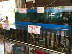 -真浪花园海鲜餐馆