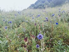 -白草畔自然风景区